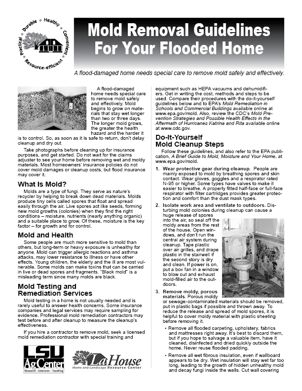 Mold Removal Guidelines for Your Flooded Home